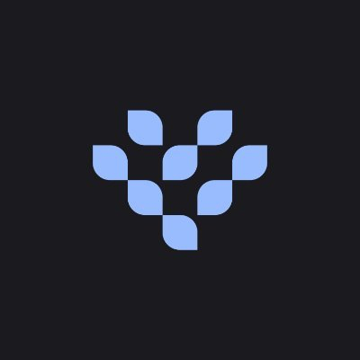 Interest Protocol-SUI